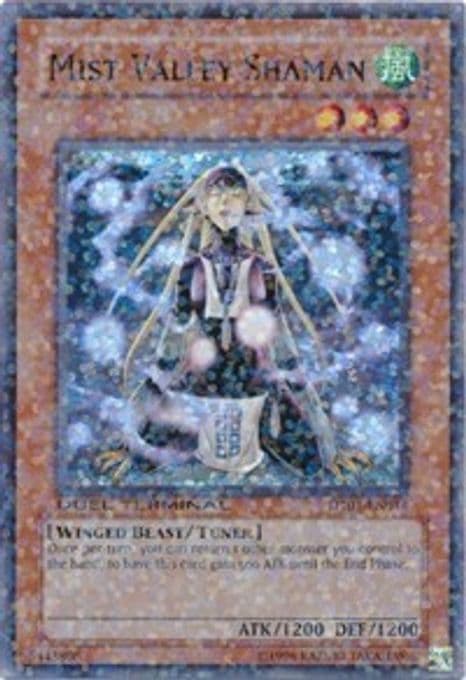 Mist Valley Shaman