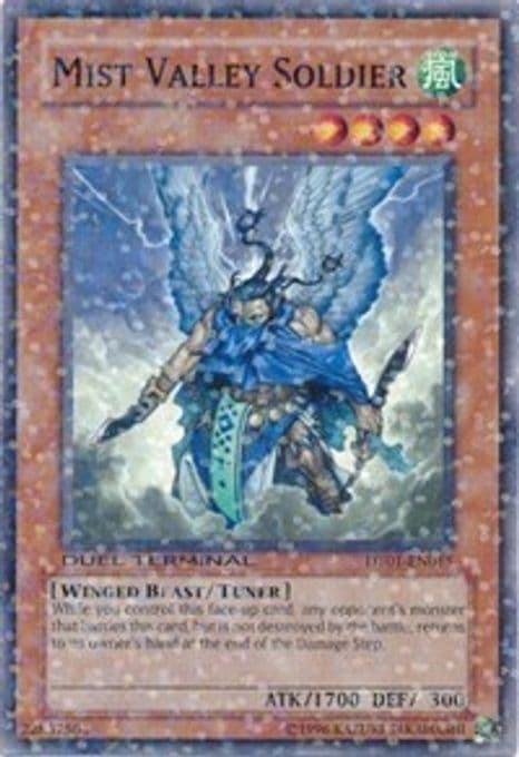 Mist Valley Soldier