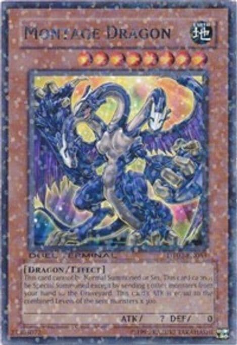 Montage Dragon