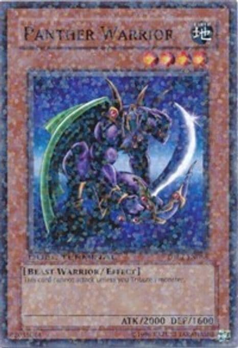 Panther Warrior