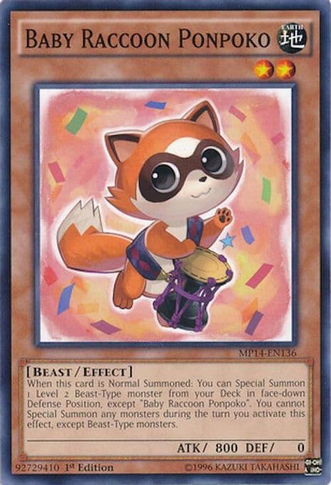 Baby Raccoon Ponpoko