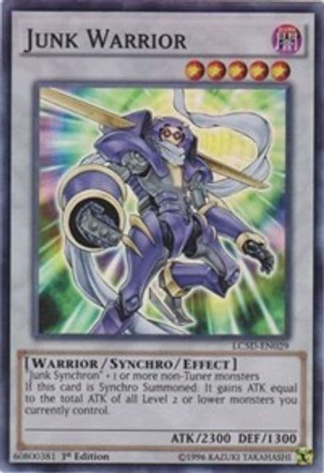 Junk Warrior