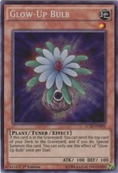 Glow-Up Bulb