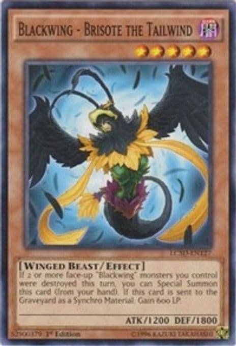 Blackwing - Brisote the Tailwind
