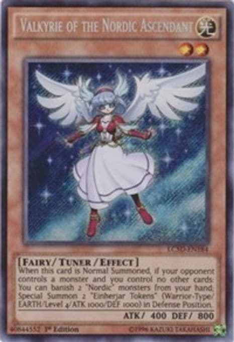 Valkyrie of the Nordic Ascendant