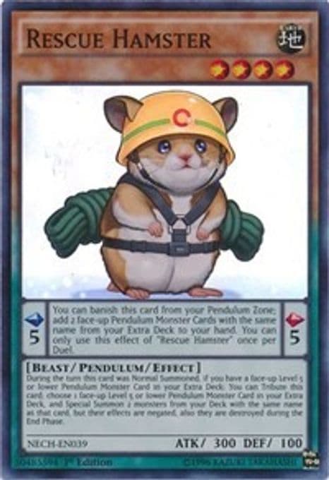 Rescue Hamster