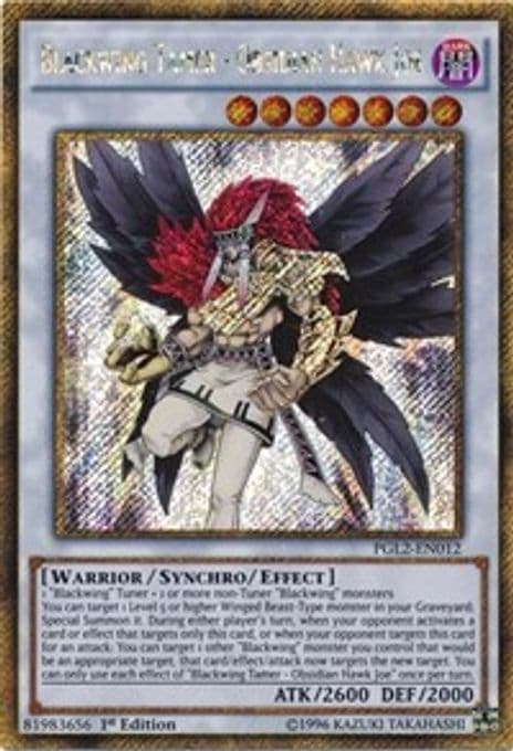 Blackwing Tamer - Obsidian Hawk Joe