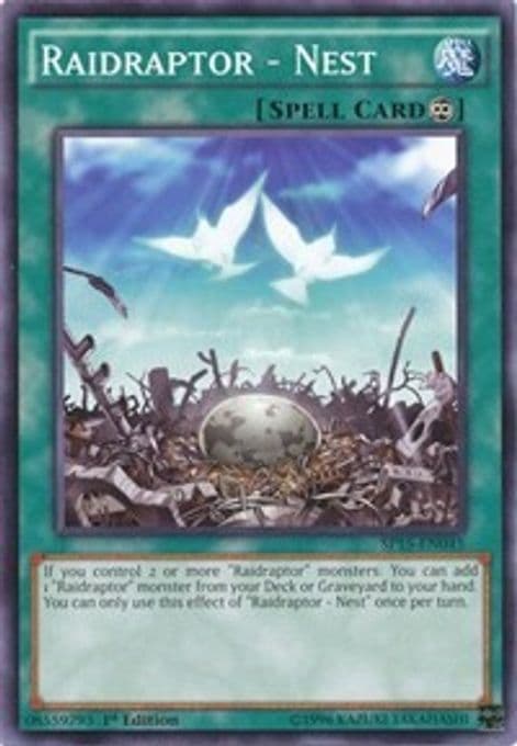 Raidraptor - Nest