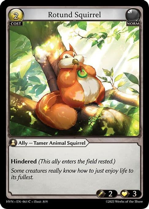 Rotund Squirrel